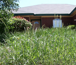 Overgrown Lawn | Oregon City