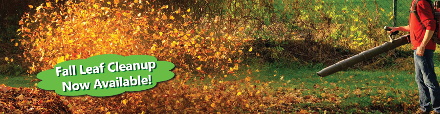 Fall Leaf Cleanup Services
