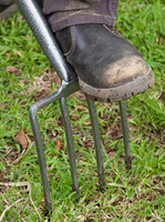 Aerating Lawn